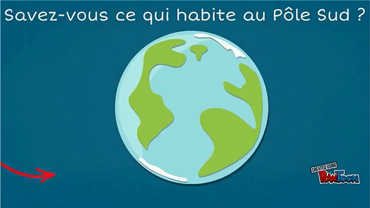 Les Sciences Naturelles de Tatsu Nagata Le Manchot