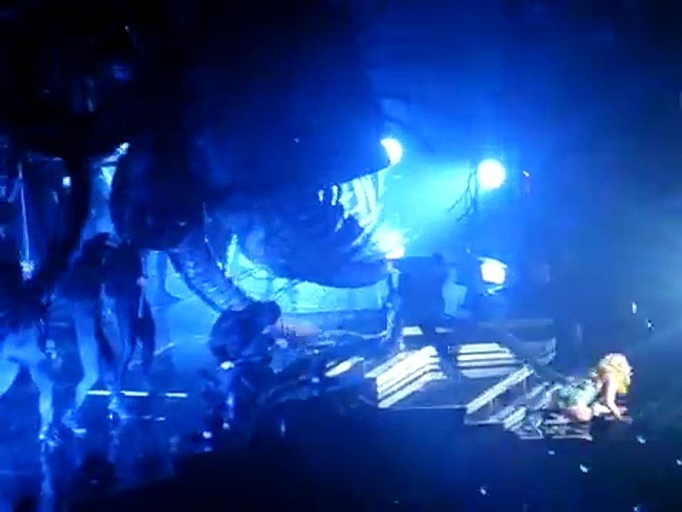 Lady Gaga Monster Ball tour Dublin "Paparazzi"