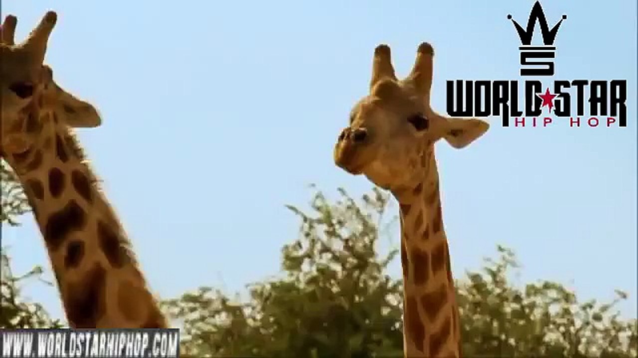 WORLDSTARHIPHOP CRAZY GHETTO SCHOOL FIGHT (2013)