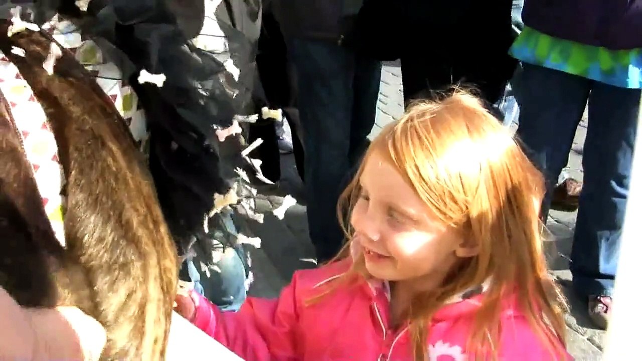 The Bewitching Bulldogs at The 2010  Sea Witch Festival