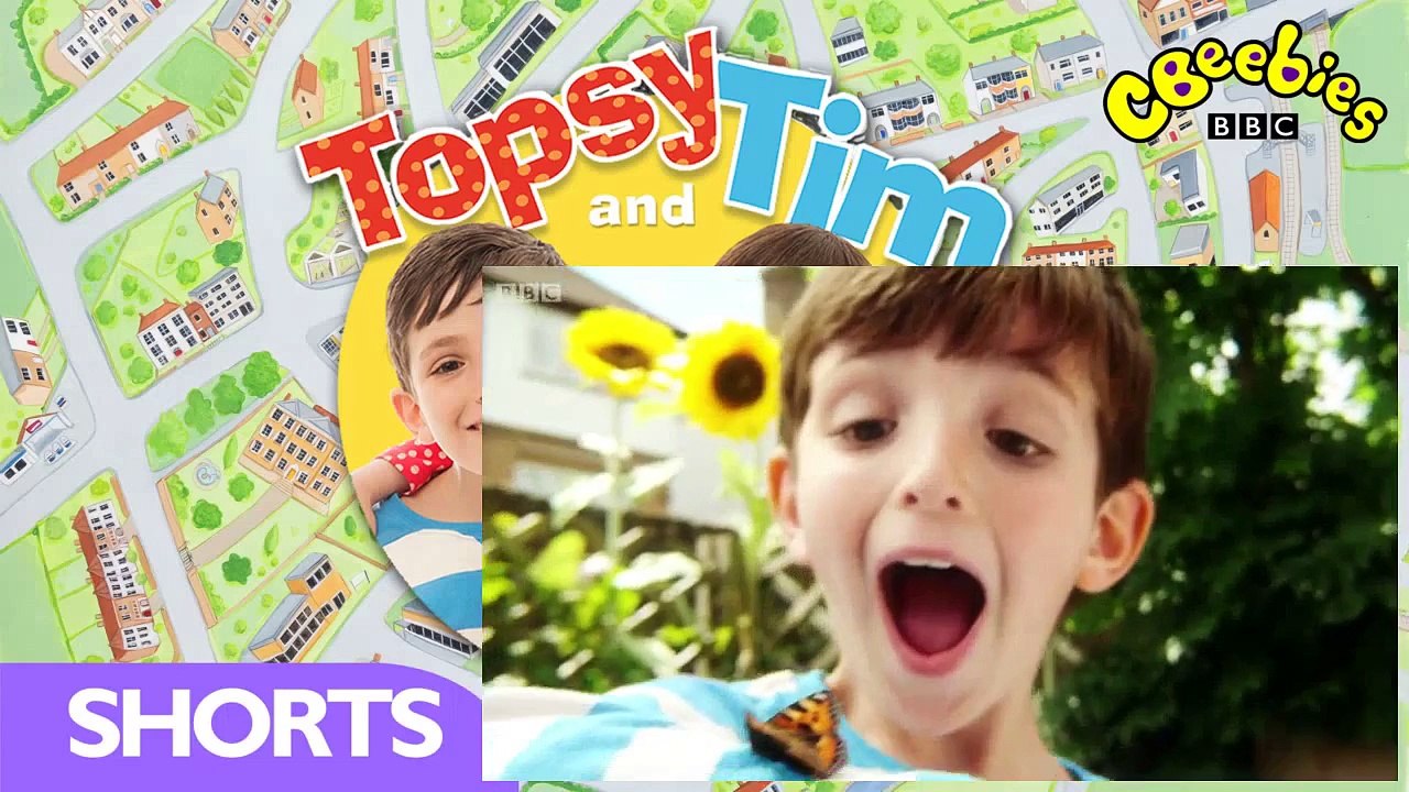 Topsy and Tim Series 2 Episode 19 Dad's Office
