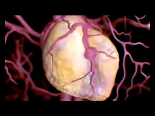 how alcohol acts in ur body ! Social awareness from counteristrike.com