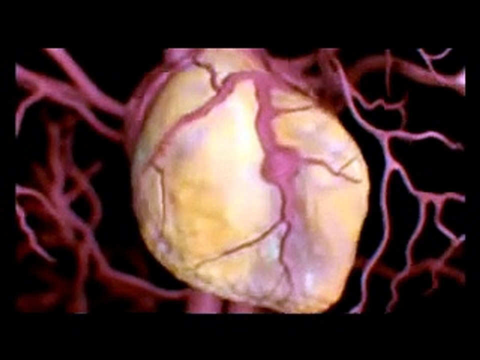 how alcohol acts in ur body ! Social awareness from counteristrike.com