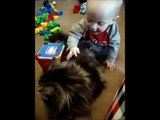 Siberian Cat vs our 11 Month Old Son