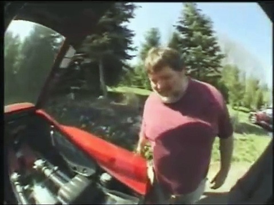Elementality- Bam Margera