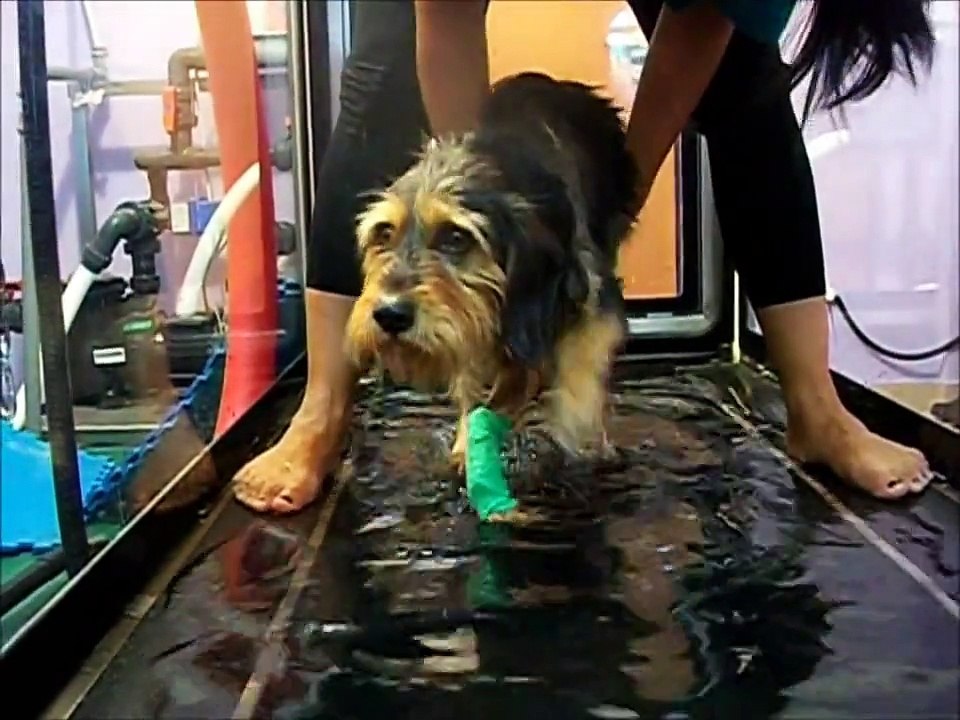 Tutti pazzi per .......GABRIELE.wmv