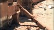 Mali : Tombouctou soigne son patrimoine grâce à l'Unesco