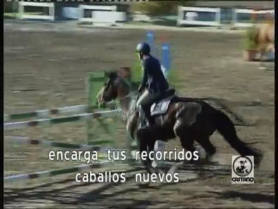 publicidad CP AGO 2015 caballos nuevos