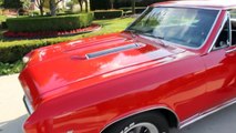 1967 Chevy Chevelle SS Classic Muscle Car for Sale in MI Vanguard Motor Sales