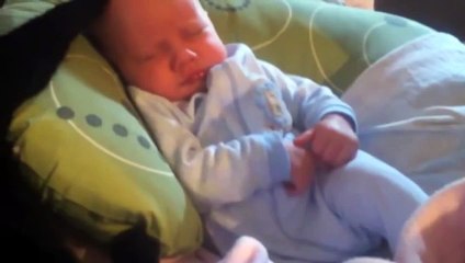 Cat Puts Baby To Sleep