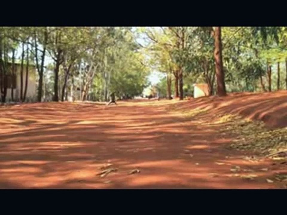 Madagascar: fauna & flora