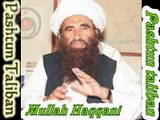 Afghan Pashtun Taliban warlord - Shia Islam
