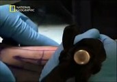 National Geographic Türkiye - Taboo (Body Modification)