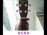 Standard Tuning For A Ukulele  ----    Get New Electric Guitars Cheap At    rondomusic.com