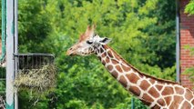 Bilder vom Tierpark und Zoo Berlin