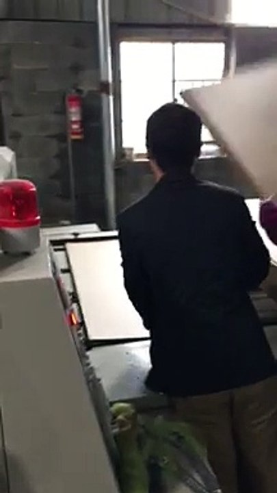 Pizza carton box semi automatic die cutting machine