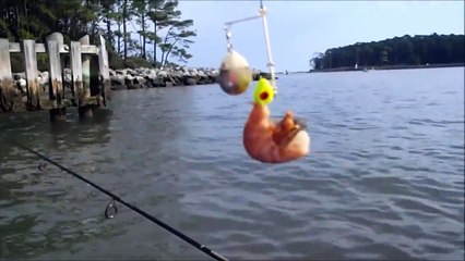 Kayak Fishing Point Lookout, MD - September 1, 2012