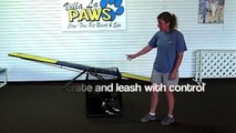 Villa La PAWs - How to Teach a Dog Self Control