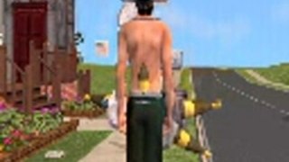 sims2 cheat glitch