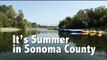Summer Fun and River Activities in Sonoma County
