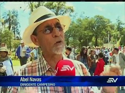 Televistazo 20h00 12 ago 2015