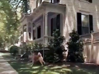 موسيقى حزينة جدا mp3 مع قصة وفاء Hatchi التي ابكت العالم