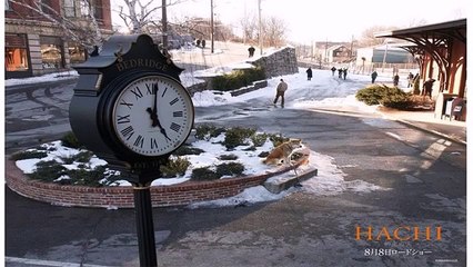 Watch Hachi: A Dog's Tale Full