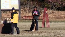 日本警察犬協会(PD)主催　2014年第65回日本訓練チャンピオン決定競技会：訓練チャンピオン獲得：ゼップ v  ワイエス イセサキ（ライズ）