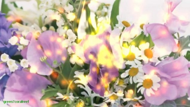 KAZE TO UWASA － Q;indivi