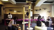 Electric Alice visits a Cat Cafe in Shinjuku! (きゃりこ猫カフェ)
