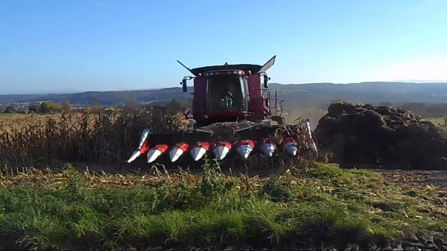 moisson maïs 2014 en case