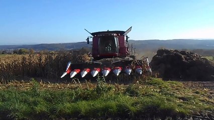 moisson maïs 2014 en case