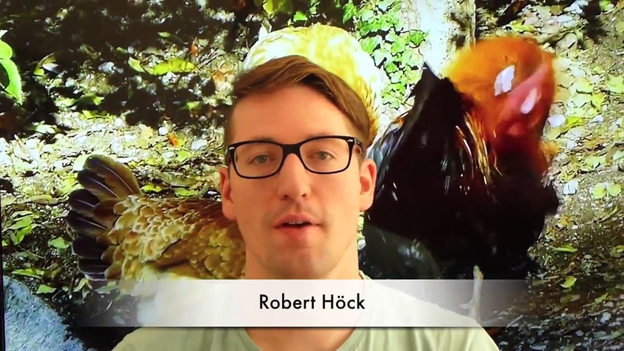 Alte Nutztierrassen Folge 19: Ungarische Lockengans, gefährdete Gänse Rasse Portrait, Dokumentation