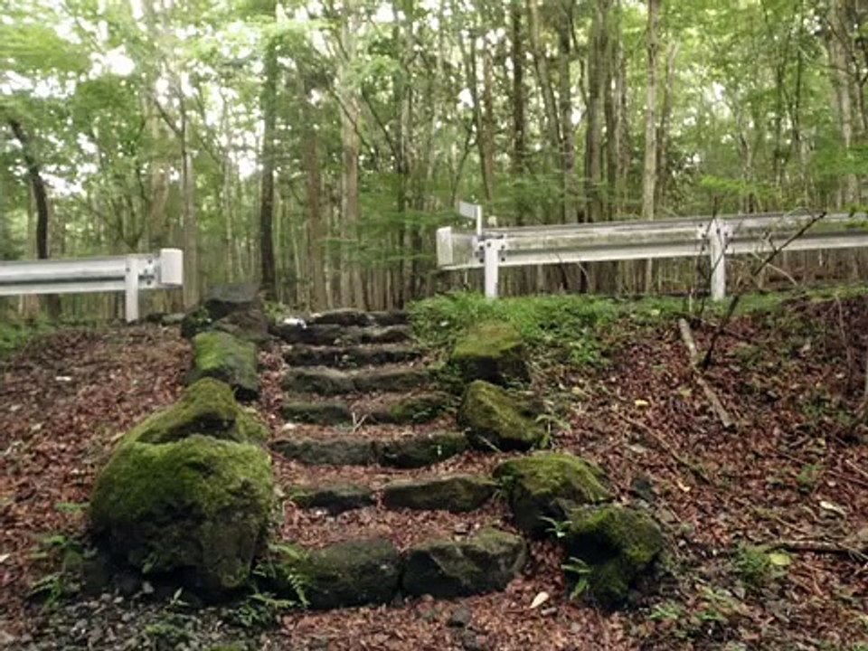 リアル宝探し　迷いの森の遺品　隠し場所種明かし