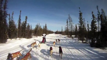 Sleddog Race - Canadian Championships 50th Anniversary - 6 Dog Race