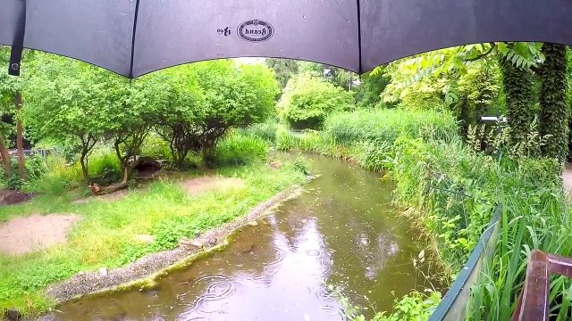 Zoo Krefeld- Germany