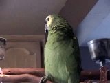 Kilo tries to sing 