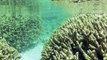 ERTH3212 - UQ Earth Sciences - Geology of Coral Reefs