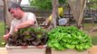 Hydroponic lettuce and garden update april 2014