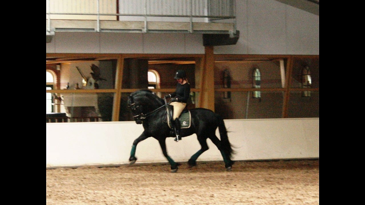 Jasper 366 Sport and the happyest rider ever!