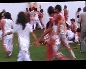 Beyonce vs Hermann Nitsch