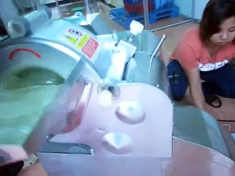 Máy cắt nha đam hạt lựu, máy cắt hạt lựu cây nha đam, máy thái nha đam thành hạt lựu dùng làm sữa chua, đồ uống