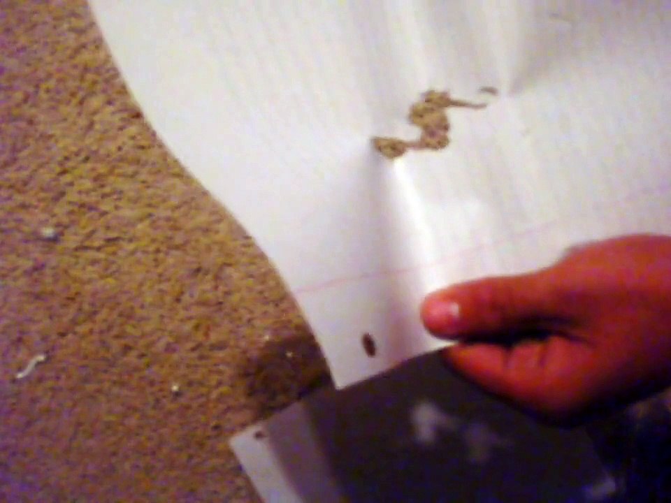 How to make a Crazy Airsoft Gun