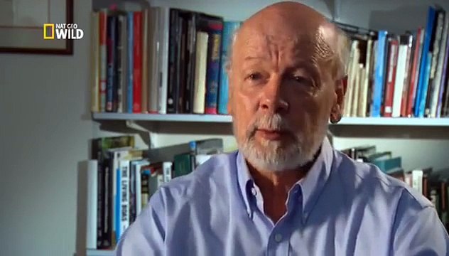 National Geographic Documentary 2014 - 72 самых опасных животных Австралии | national geographic hd