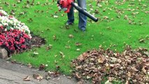 Leaf Blowers From Vesey's Equipment