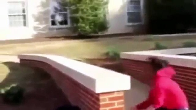 Funny Videos Funny Pranks Funny Fails Funny Vines 2015 New Funny Funny Clips