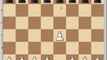 Elephant Gambit - Extremely sharp chess game