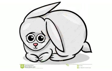 Cute Baby Cartoon Animals