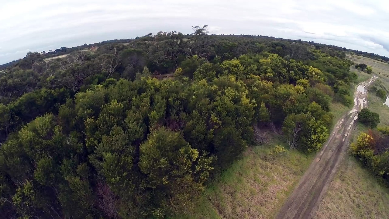 2m Wedge-Tailed Eagle takes down Drone. Watch i...