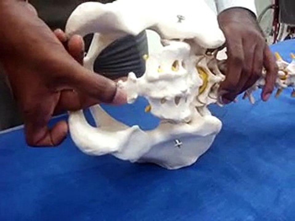 Dr. P. Senthil Kumar (PhD) PT.,- Coccyx Mobilization Technique (Maitland's Concept) for Coccydynia!